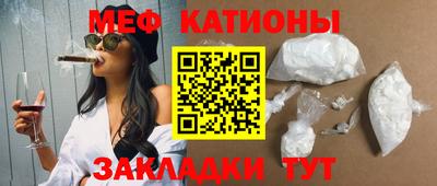 прущие грибы Гатчина
