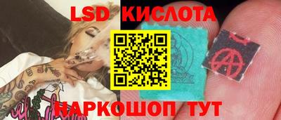 прущие грибы Гатчина