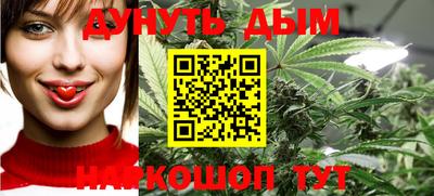 прущие грибы Гатчина