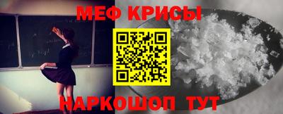 прущие грибы Гатчина