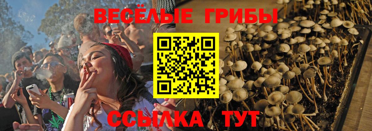 магазин    Псилоцибиновые грибы мухоморы  Вход с VPN  Нефтеюганск 